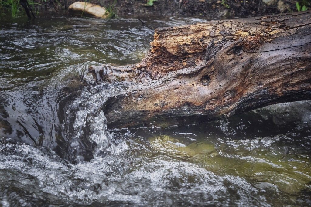 river, water, wood-7036017.jpg