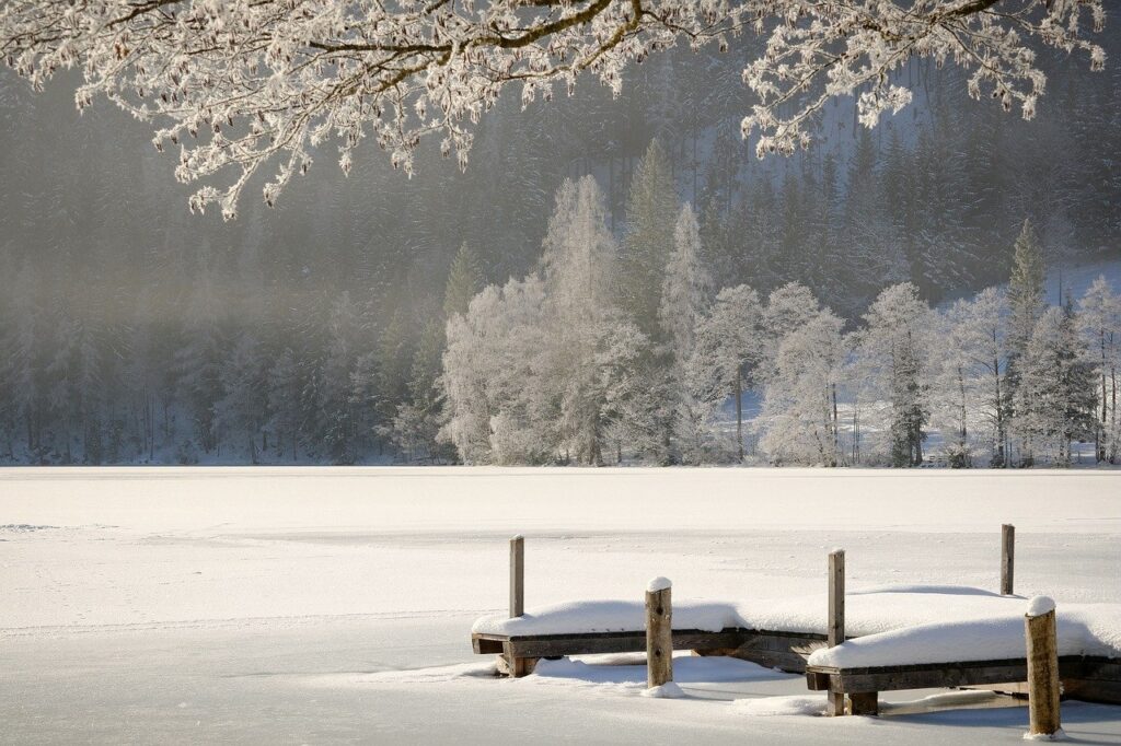 winter, season, nature-7000429.jpg